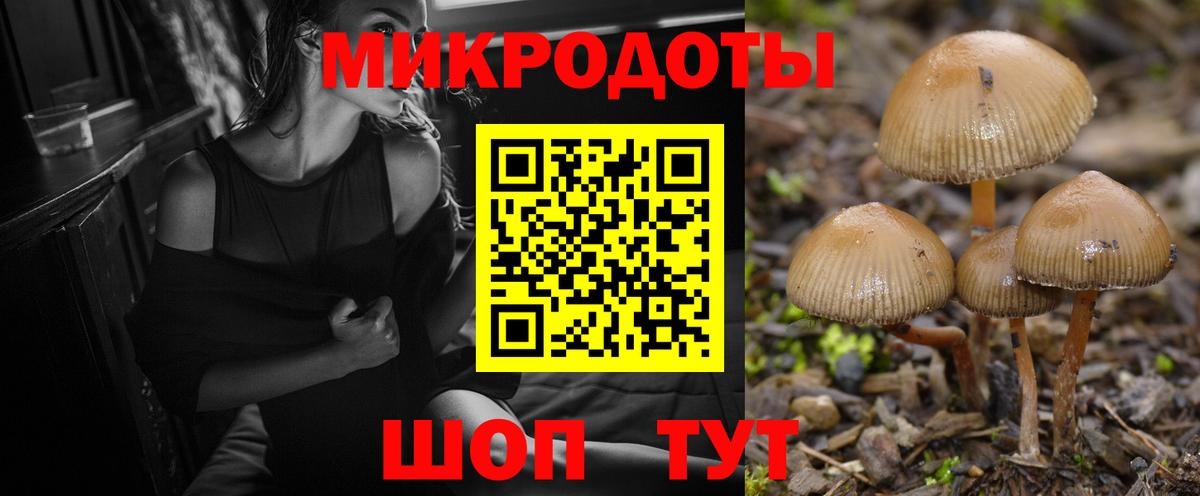 магазин    Вход с VPN  Ессентуки  Галлюциногенные грибы MAGIC MUSHROOMS 