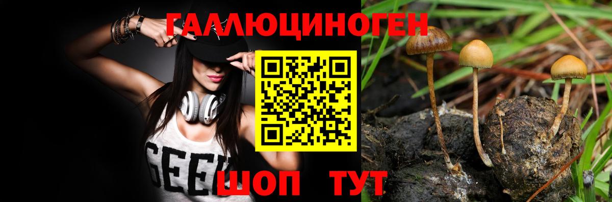 Псилоцибиновые грибы Magic Shrooms Ессентуки